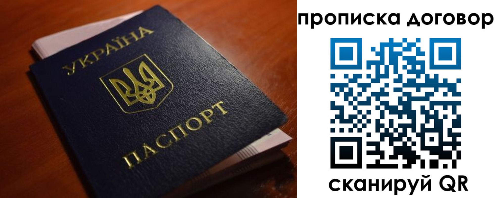 прописка законно в Кольчугино